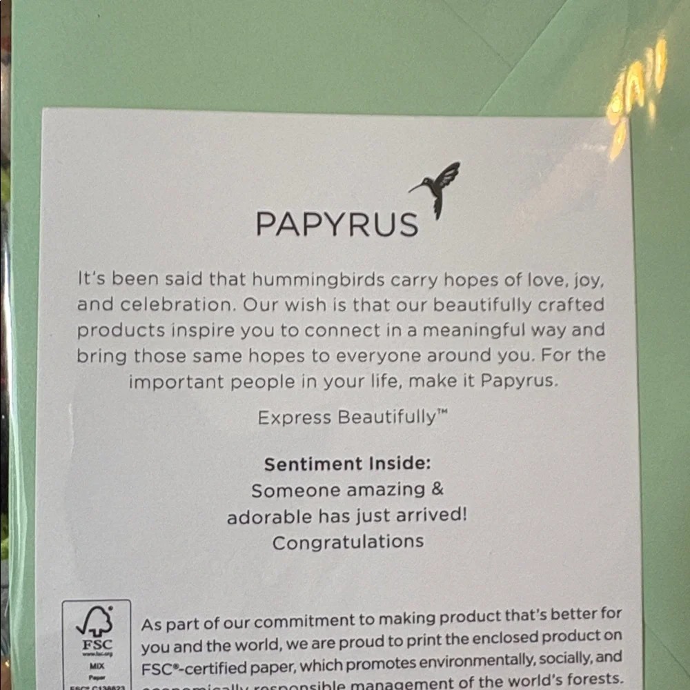 🆕Papyrus New Baby Greeting Card